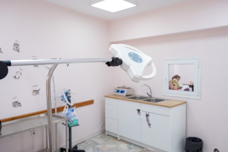 Η Αθήνα απέκτησε το πρώτο δημοτικό κτηνιατρείο - Φροντίδα και δωρεάν ιατροφαρμακευτική περίθαλψη - Κώστας Μπακογιάννης: Σηματοδοτεί τον πολιτισμό στην πράξη.