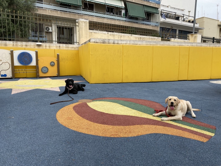 Σκύλοι Οδηγοί Ελλάδας