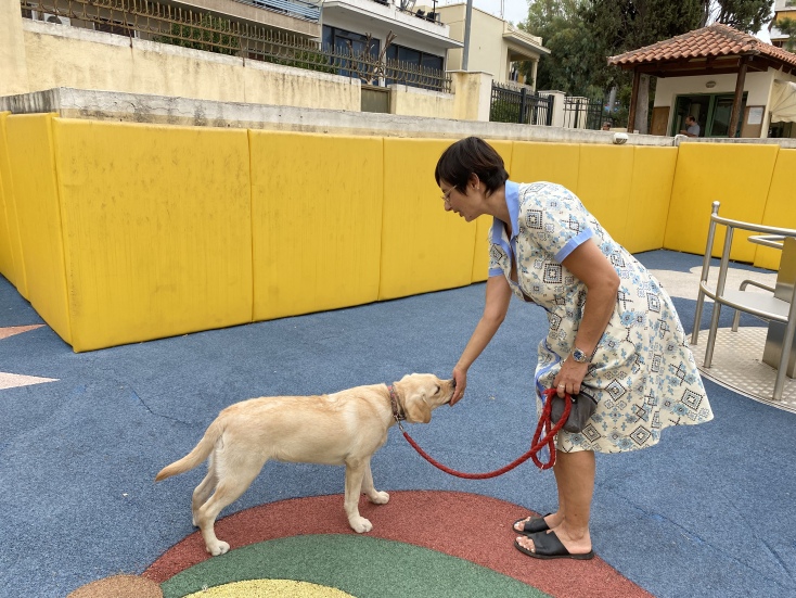 H Faith που υπακούει στις εντολές της Κωνσταντίνας Μαλλιαρού, εικαστικού και ανάδοχης εθελόντριας που κοινωνικοποιεί το κουτάβι του Κέντρου Σκύλοι Οδηγοί Ελλάδας