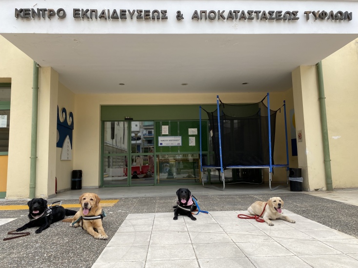 Σκύλοι Οδηγοί Ελλάδας