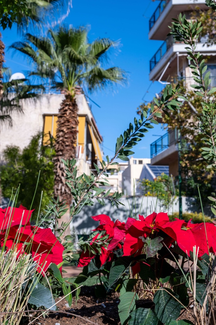 Τα Άνω Πατήσια απέκτησαν το νέο «Πάρκο Τσέπης» (εικόνες)