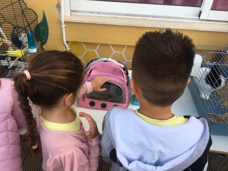 Ηράκλειο: Στο σχολείο με τα κατοικίδιά τους οι μαθητές του 4ου δημοτικού Νέας Αλικαρνασσού - με αφορμή την παγκόσμια ημέρα αδέσποτων ζώων.