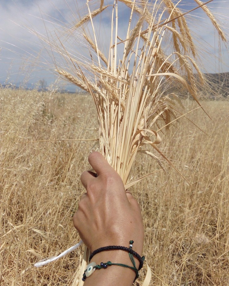 Πρώτες ύλες στο Πηδάλιο