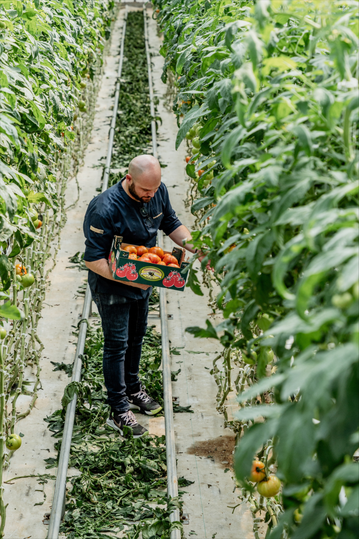Νίκος Κουτσουδάκης
