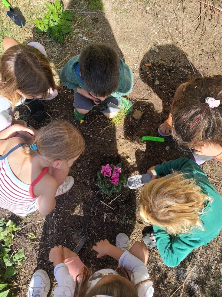 Το δημοκρατικό σχολείο του βουνού