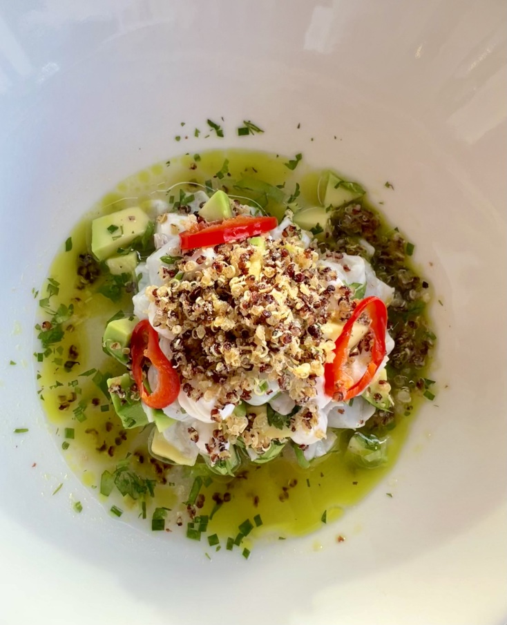 lamda-leukada-seviche