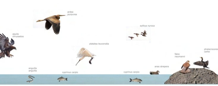 Λίμνη Κάρλα: θυσία ή αναγέννηση; 