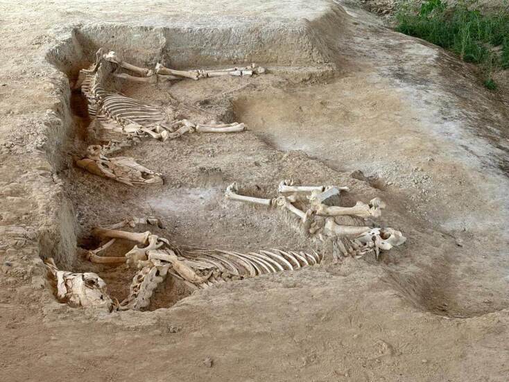 Υπουργείο Πολιτισμού: Σε εξέλιξη οι εργασίες για την ανάδειξη του ταφικού τύμβου στη Δοξιπάρα - Ζώνη στον Έβρο - Τα ευρήματα της ανασκαφής. 