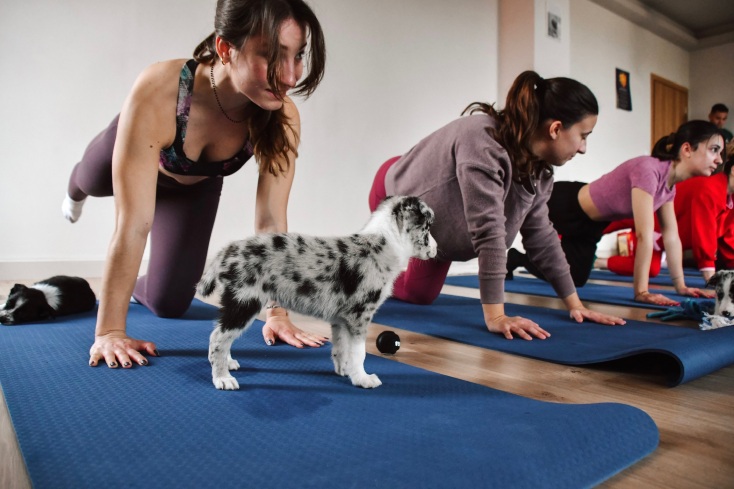 Puppy Yoga