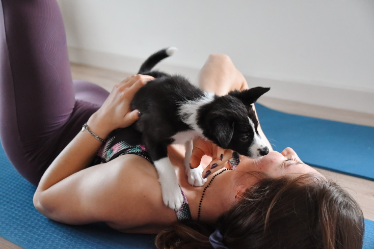 Puppy yoga