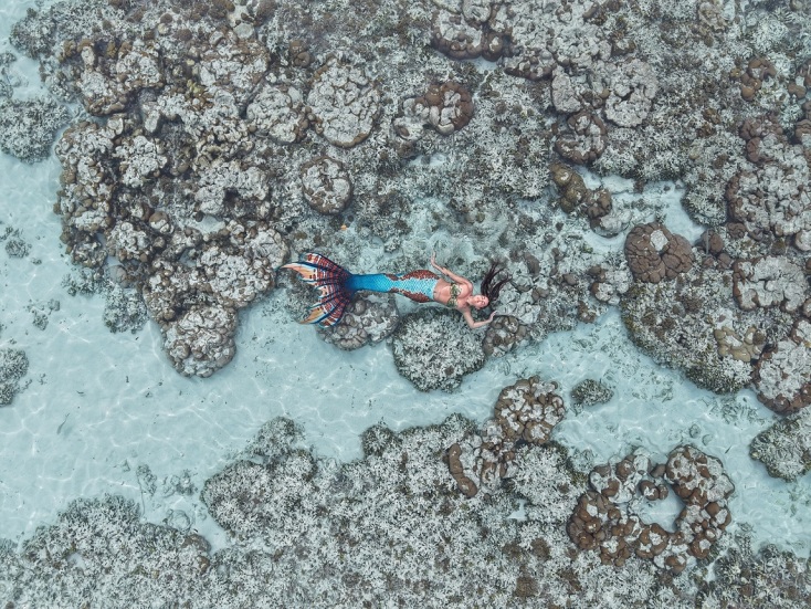 Θεσσαλονίκη: Η πρώτη Ακαδημία Γοργόνων στην Ελλάδα ταξίδεψε στις Μαλδίβες - Κολύμπησε με καρχαρίες και τεράστια σαλάχια