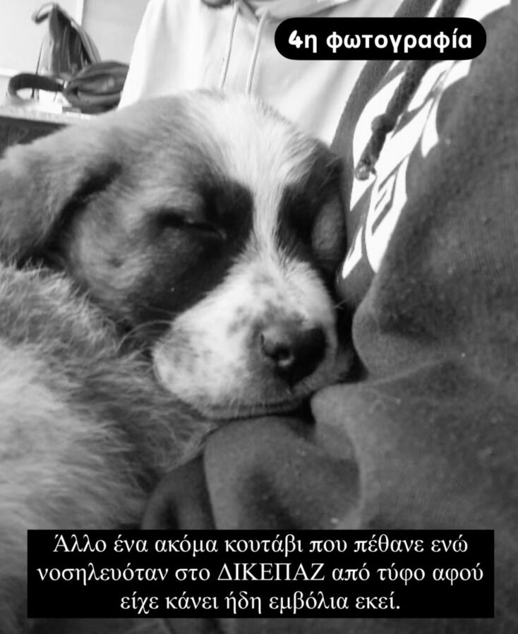 whatsapp_image_2025-01-29_at_01_12_27-3