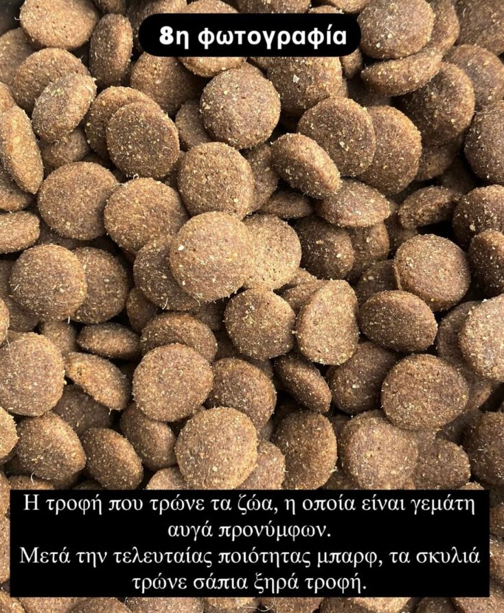 whatsapp_image_2025-01-29_at_01_12_28-4