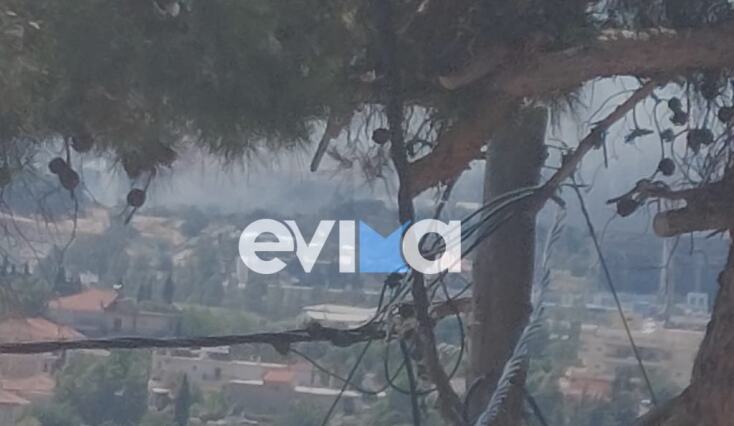 Φωτιά τώρα στην Εύβοια - Σε κοντινή απόσταση εργοστάσιο 