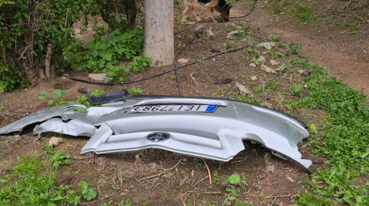 methismenh-tragoudistria__3_