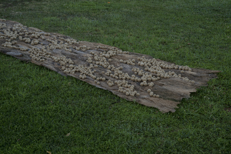 Κατερίνα Κατσιφαράκη, Σβόλοι