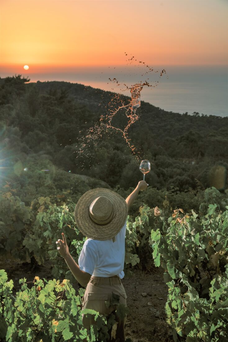 Οινοποιείο Καρίμαλη