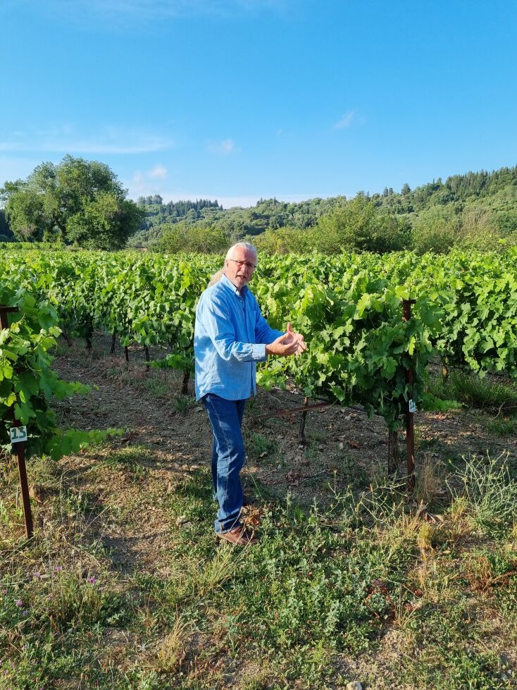 Κτήμα Χαριτάτου