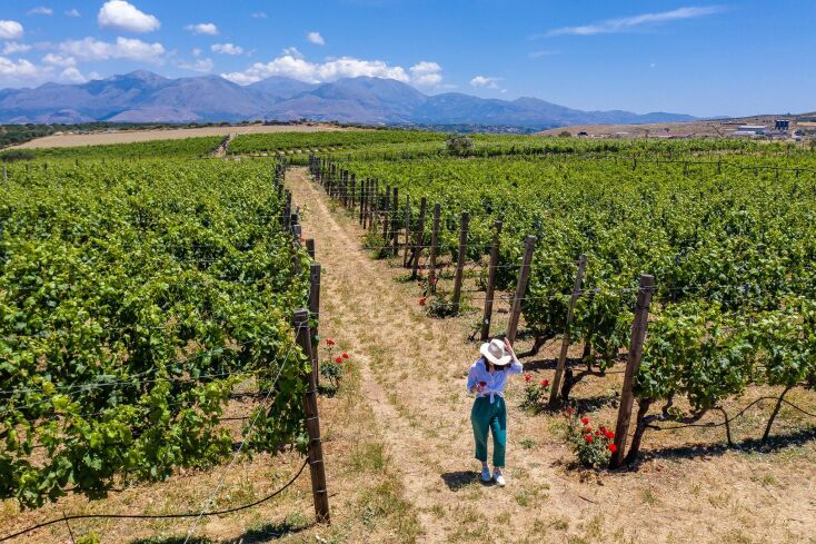 Κτήμα Λυραράκη