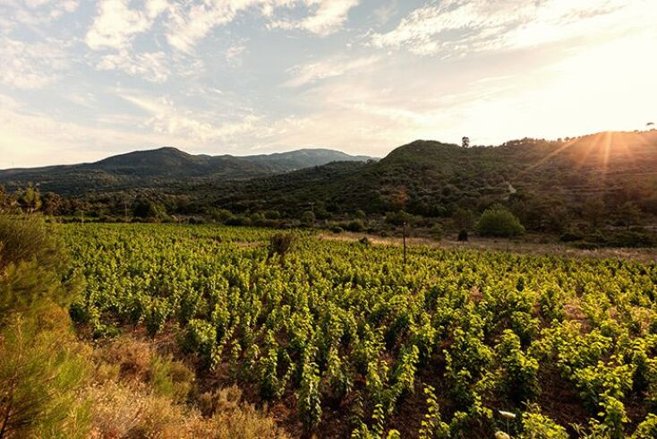 Οινοποιείο Nopera 