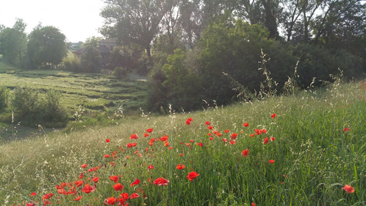 Ο Πάβλος Χαμπίδης εκθέτει στη La Macchina Fissa και μας περιγράφει την εμπειρία