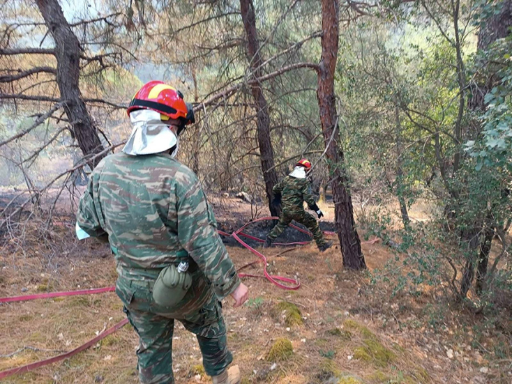 Πυρκαγιά στο δάσος της Δαδιάς στον Έβρο