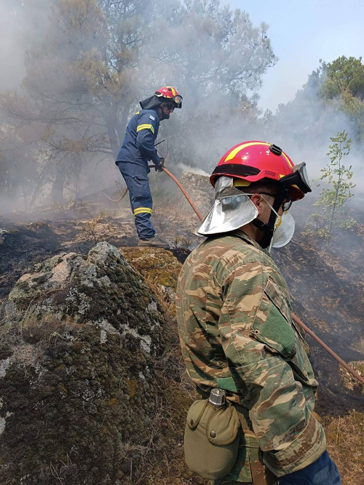 Πυρκαγιά στο δάσος της Δαδιάς στον Έβρο