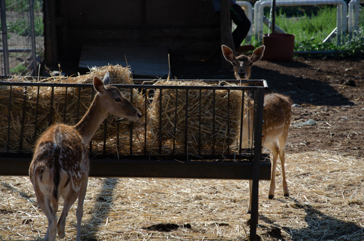 Μια φορά κι έναν καιρό