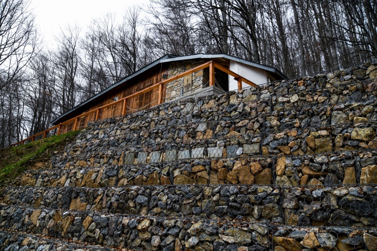 Νεκρές αρκούδες στη βόρεια Ελλάδα – Γιατί εκφράζουν ανησυχίες όσοι εργάζονται για την προστασία του απειλούμενου θηλαστικού.