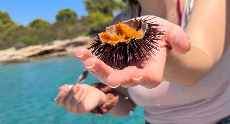 Τους πιο φρέσκους αχινούς, είναι γνωστό, τους πιάνεις μόνος σου. Με πολλές βουτιές μαζέψαμε αρκετούς και τους κάναμε μακαρονάδα. Μας πέτυχε!