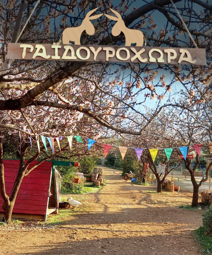 Στη Γαϊδουροχώρα