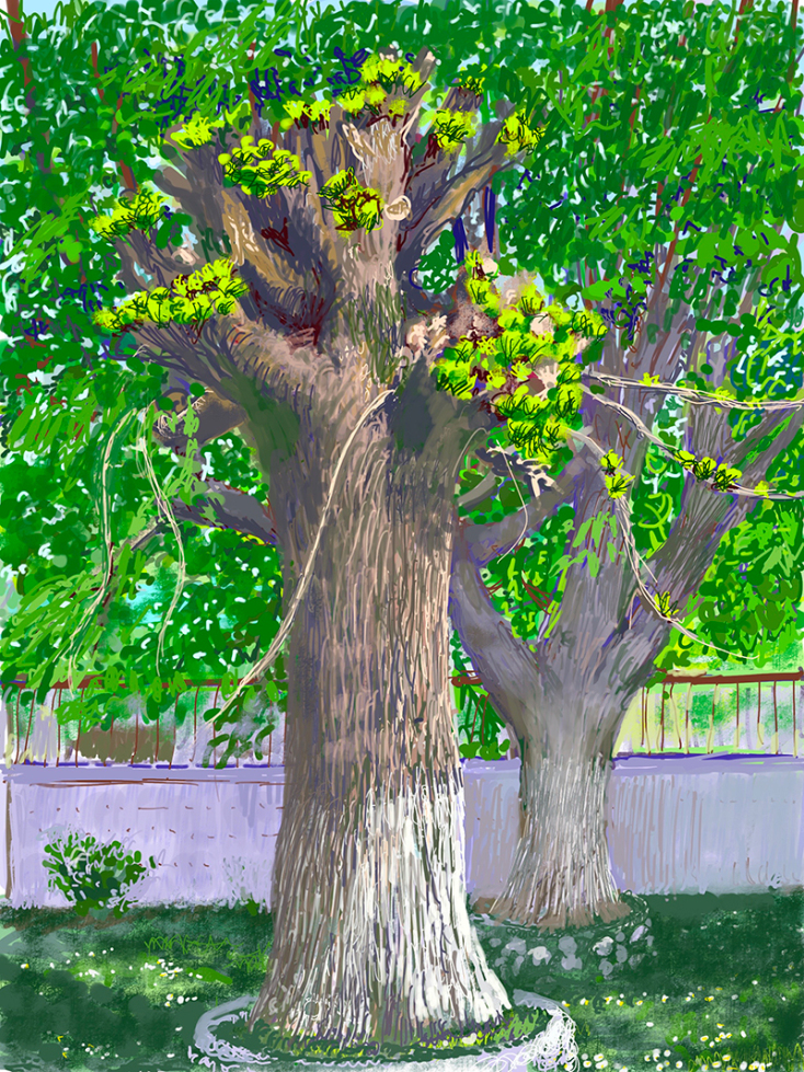 Έργο του Κωνσταντίνου Νταούλα