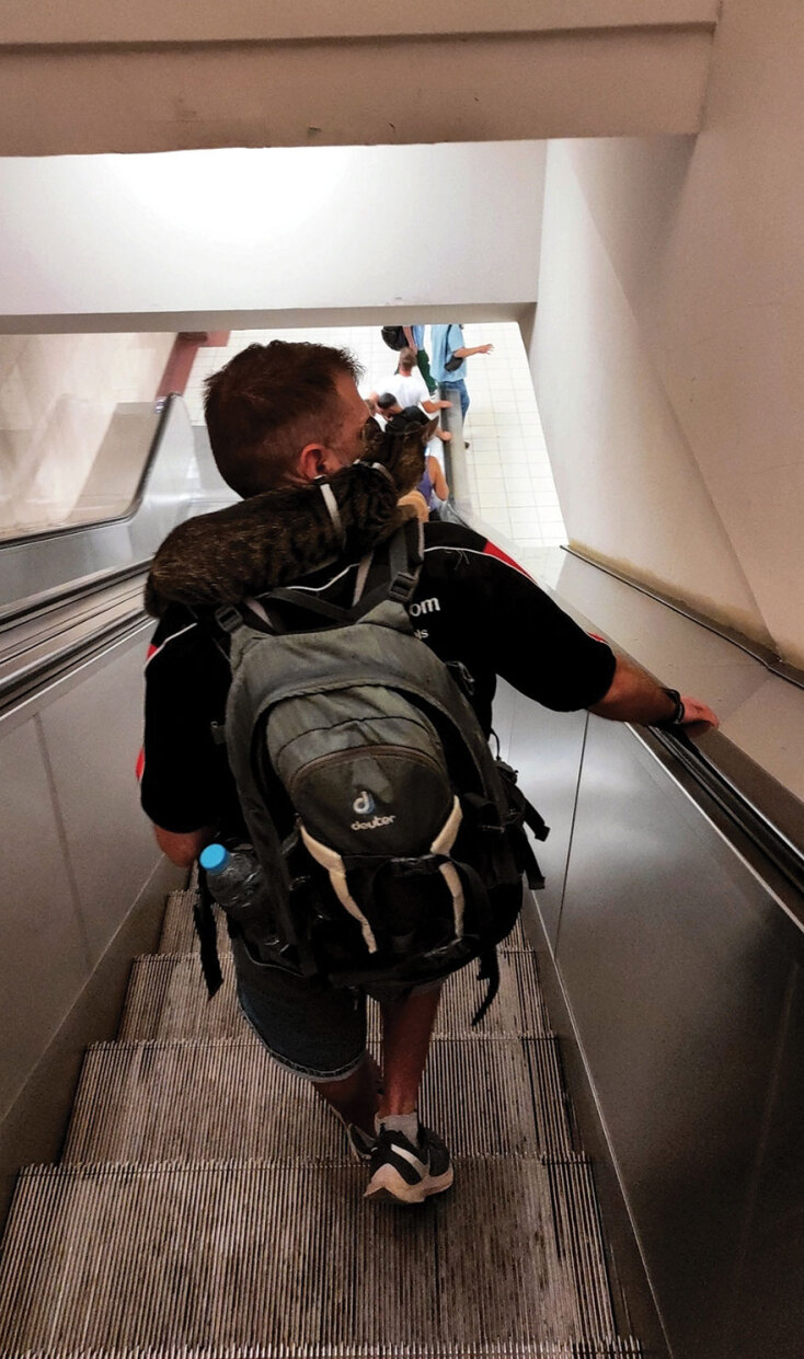 Άντρας με γάτα καθισμένη στον αυχένα του κατεβαίνει τις σκάλες του μετρό