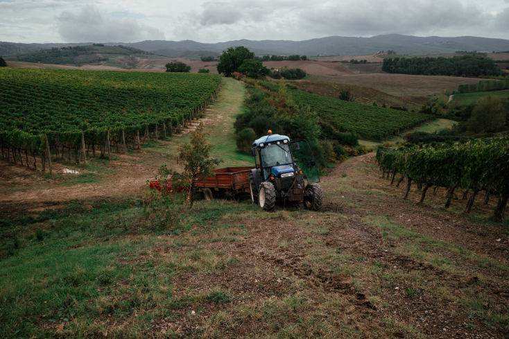 Κτήμα Brunelo di Montalcino