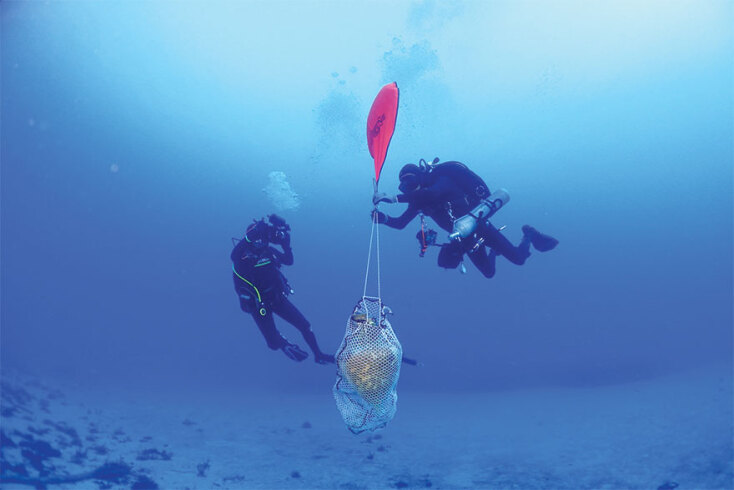 Δύτες σε βυθό 