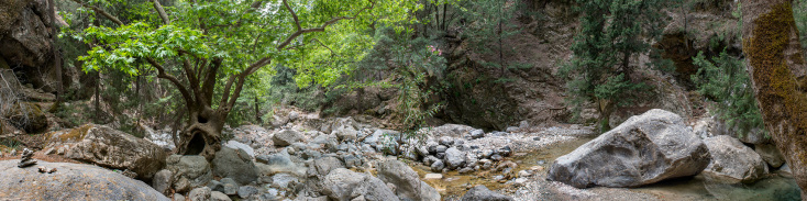 Φύση πίσω από τον φωτογραφικό φακό