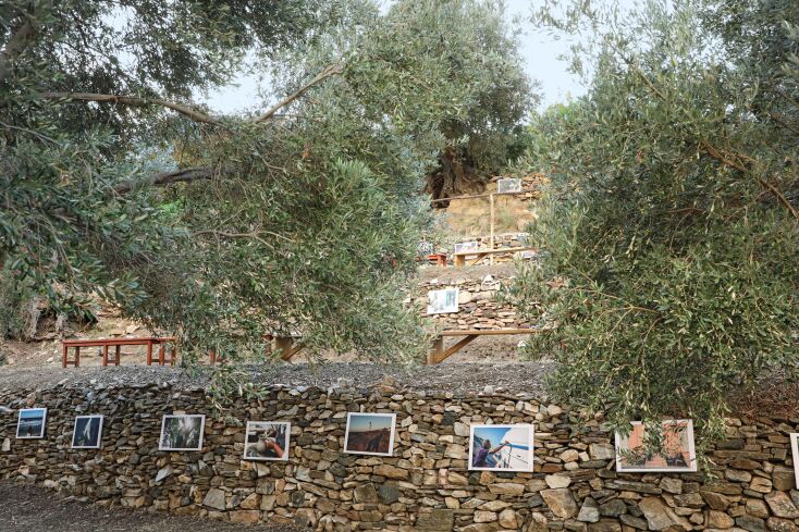 Μια βραδιά κάτω από την ελιά 