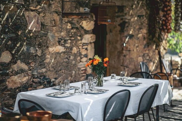 «Μια βραδιά κάτω απ΄ την ελιά» 