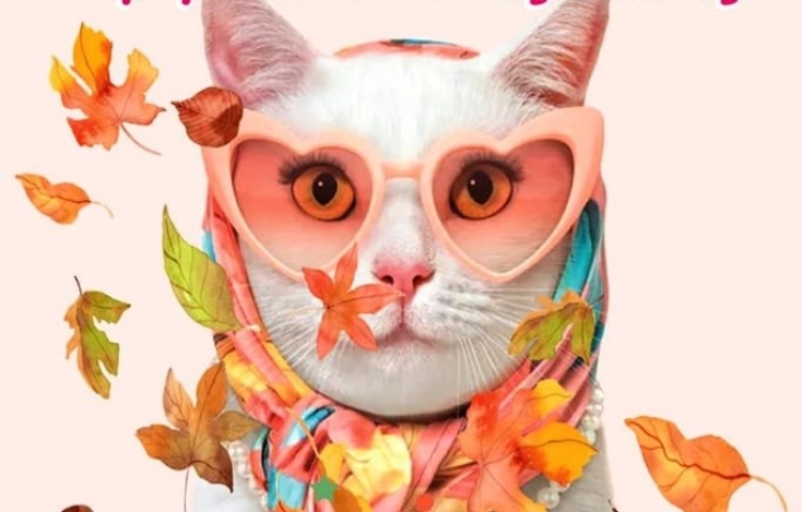 imera-iothesias-gata