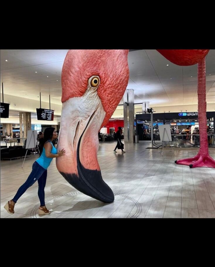 306686860_126544483488896_6975432389059975927_n