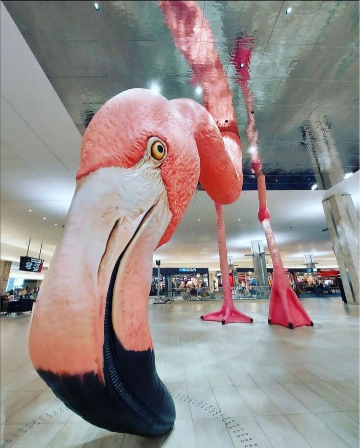 307116982_2686509061480832_3264993749662420245_n