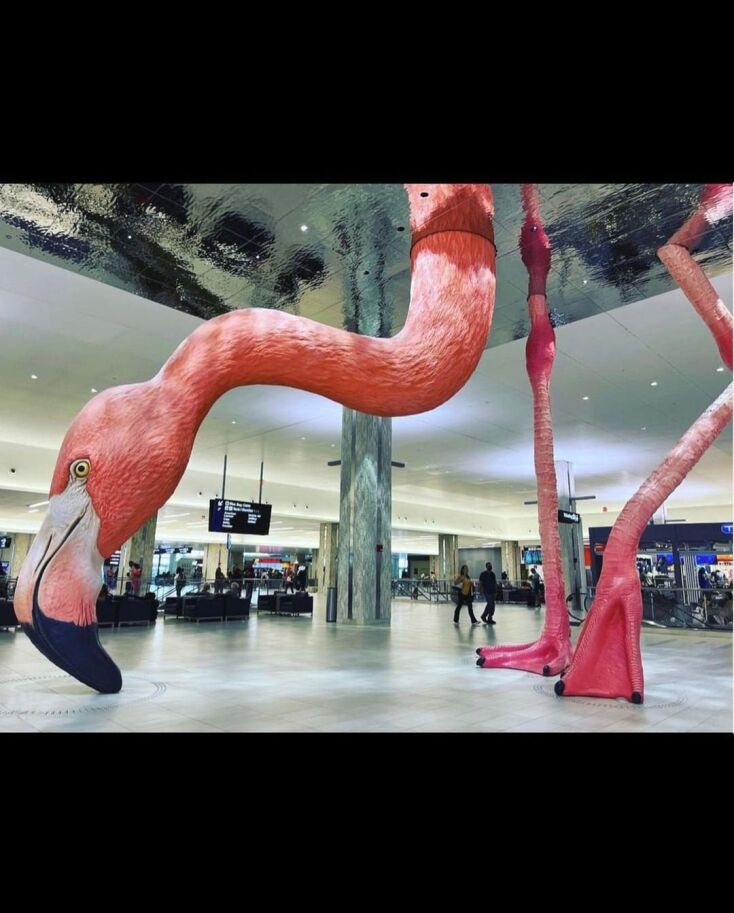 307274125_164816292809268_4498991309015111096_n