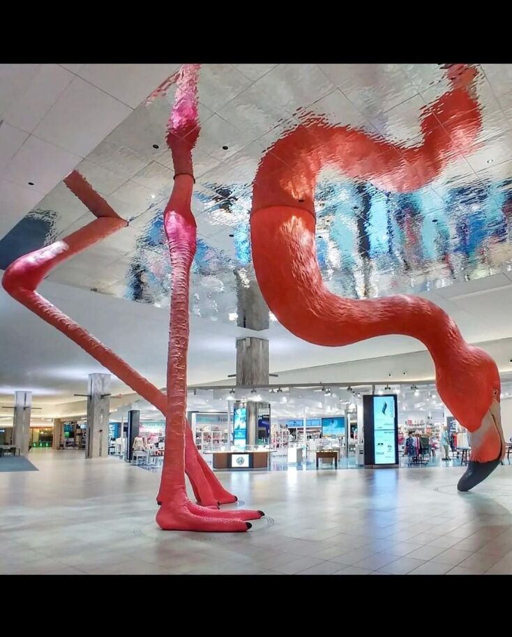 307422942_396701819296956_3867006298959767103_n