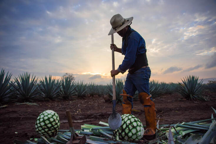 don_julio_brand_passion