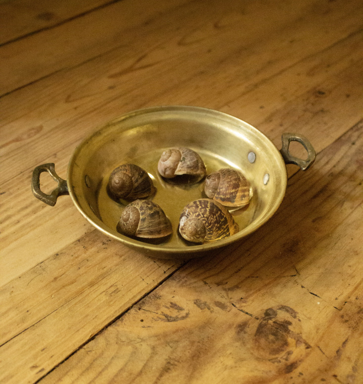 Σκεύος μαγειρέματος σαλιγκαριών