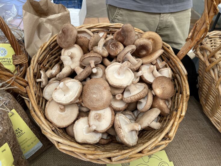 Τα μανιτάρια του Λάμπρου