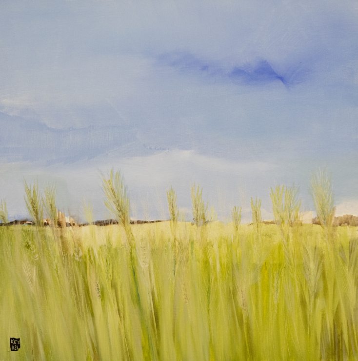 Χρήστος Κεχαγιόγλου, "Fields"