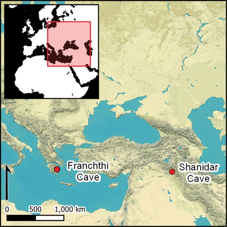 Εντοπίστηκαν σε σπηλιές στην Ελλάδα και το Ιράκ τα παλαιότερα μαγειρεμένα υπολείμματα - Περίπου 70.000 ετών, υποδηλώνουν ότι οι Νεάντερταλ ήταν καλοφαγάδες.