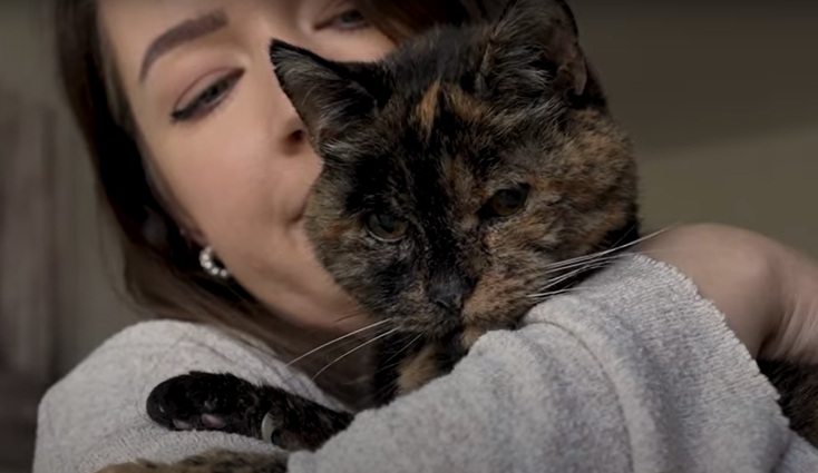 Η γηραιότερη γάτα στον κόσμο επιβεβαιώθηκε σε ηλικία 26 ετών από τα Παγκόσμια Ρεκόρ Γκίνες - Το χρονικό του περιπετειώδους βίου της Φλόσι.