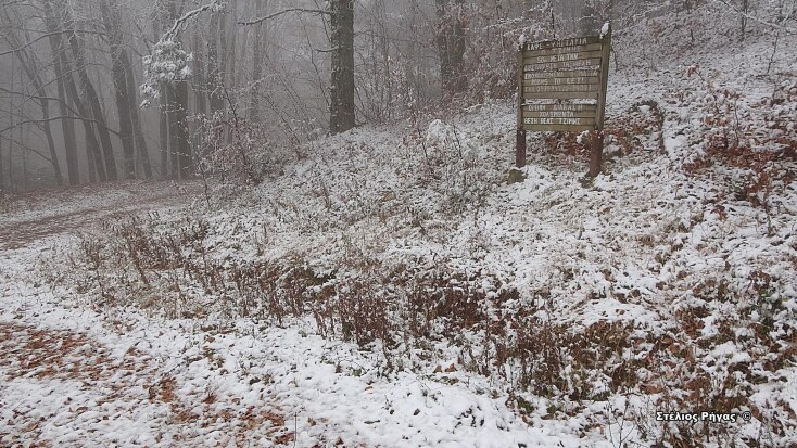 Στα λευκά ντύθηκαν οι ορεινές περιοχές της Χαλκιδικής – Πλήρως καλυμμένος από το χιόνι ο Χολομώντας, στα 650 μέτρα υψόμετρο. 